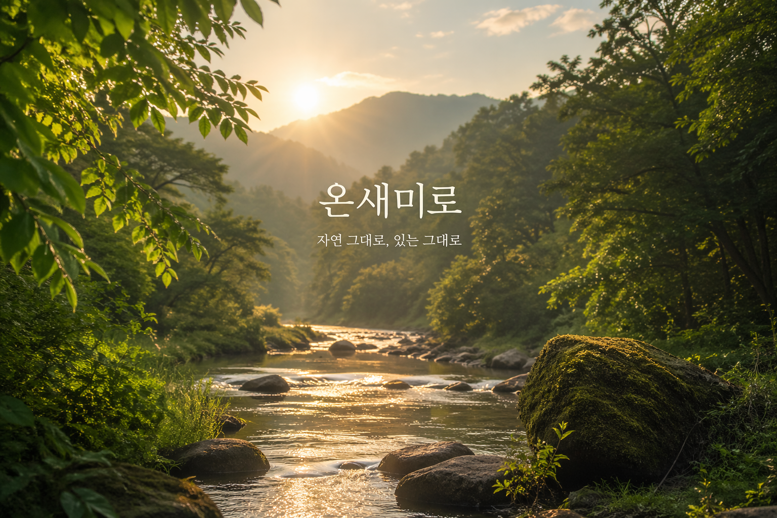 온새미로 교육철학
